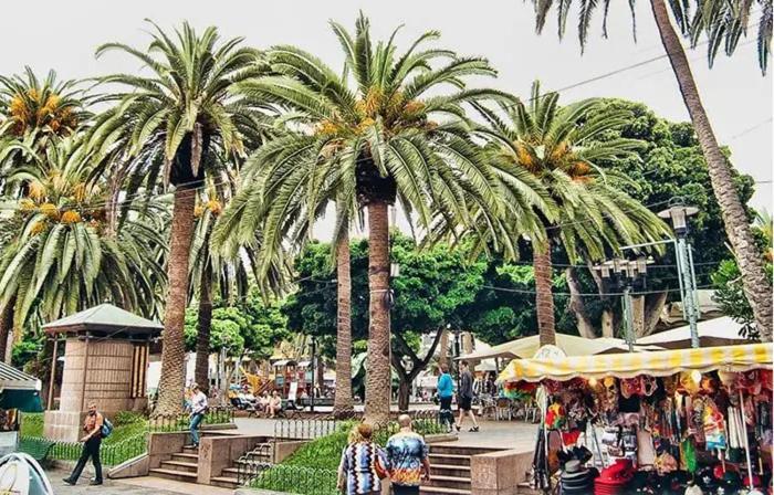Vulcano Paradise Puerto de la Cruz  Dış mekan fotoğraf